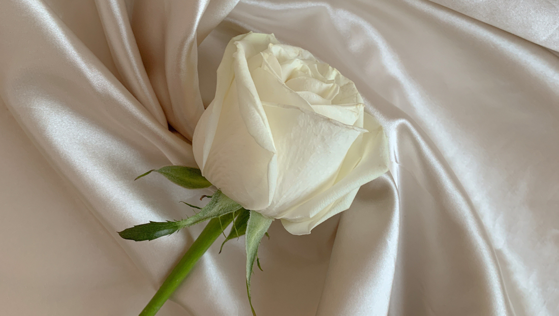 The Deeper Meaning Behind "White Roses" - BestBloomBuddy