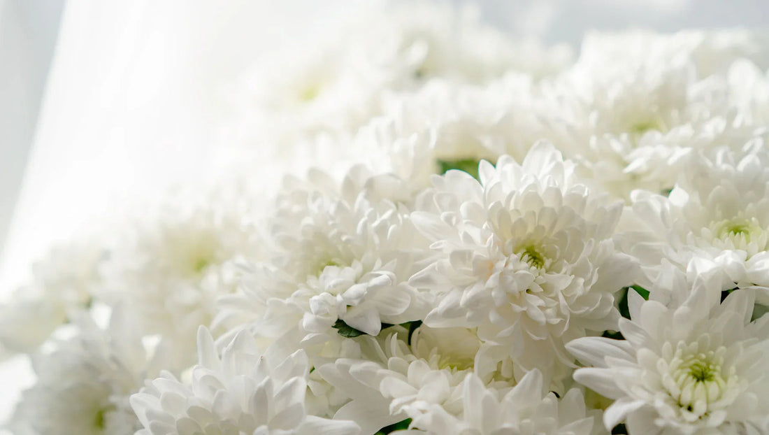 Flowers for Thai Holidays: What to Send on Songkran, Loy Krathong & More - BestBloomBuddy
