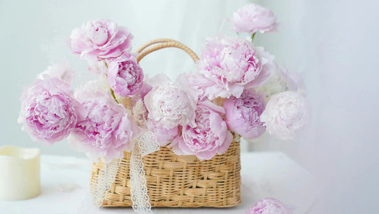 10 Most Romantic Flowers to Express Love - BestBloomBuddy