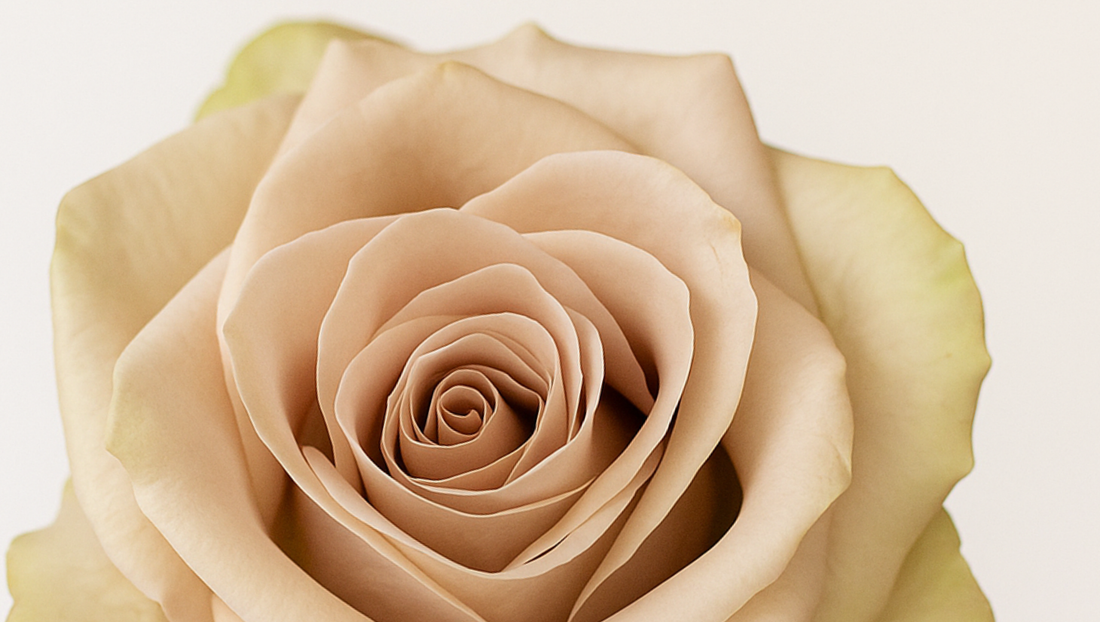 Quicksand Rose – The Timeless Elegance of Muted Beauty