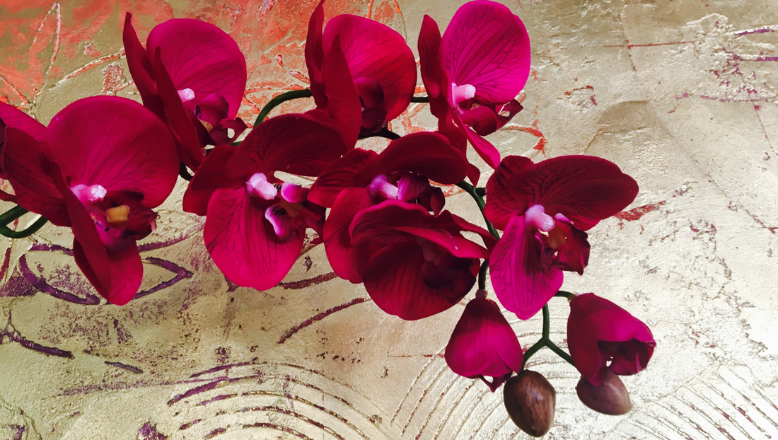 10 Beautiful Rainy Season Flowers to Brighten Up Any Day
