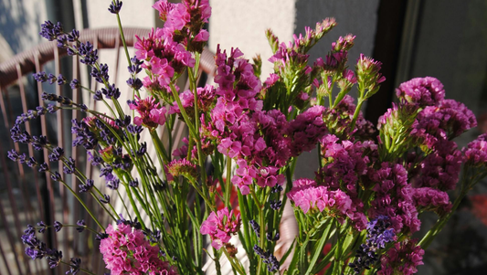 Statice Flowers: Everlasting Beauty and Symbolism