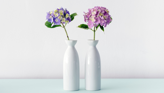 Feng Shui Flowers for Your Home: Which Colors and Placements Bring Good Energy?