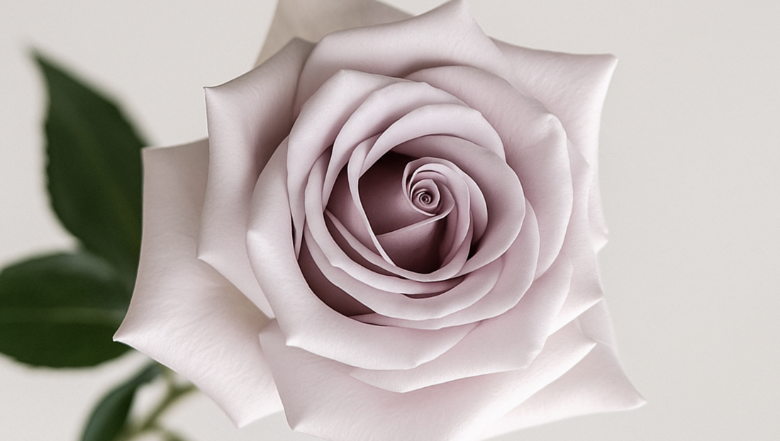 Menta Rose โ A Hint of Cool Sophistication