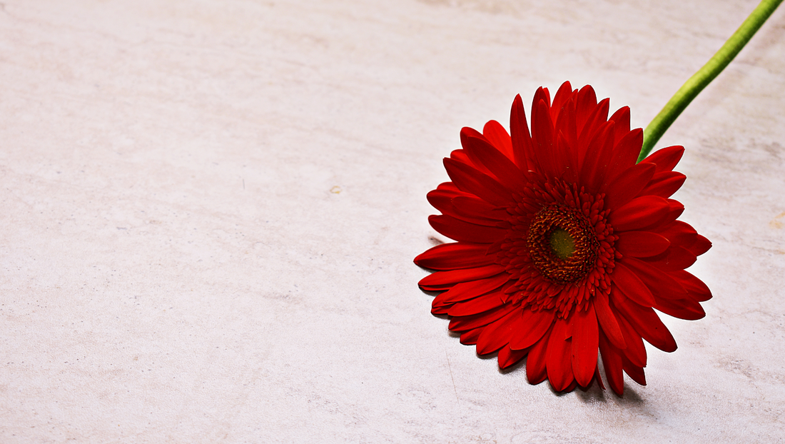 Flowers & Culture: What to Know Before Sending Blooms in Thailand