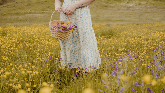Zodiac Flowers: Which Blooms Empower Your Sign?