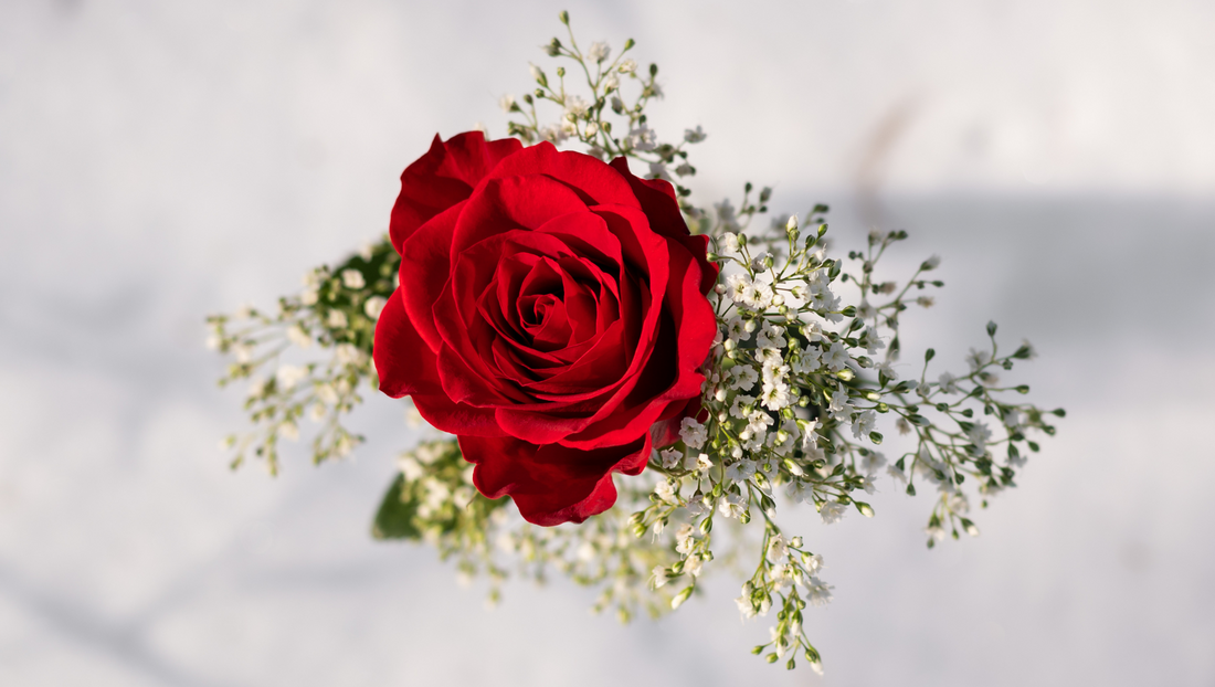The Meaning of Red Roses: Past and Present