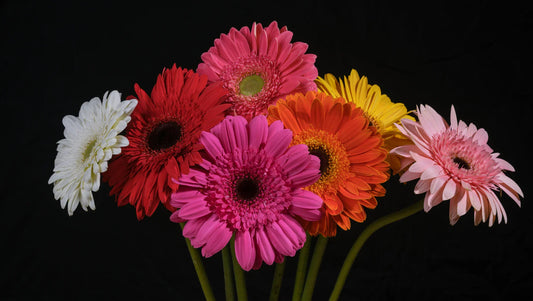How to Send Flowers in Thailand from Abroad: A Simple Guide