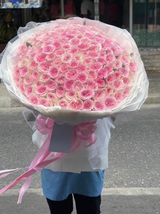 Bridal Bloom – 200 Pink Peony Roses (Garden Roses) - BestBloomBuddy