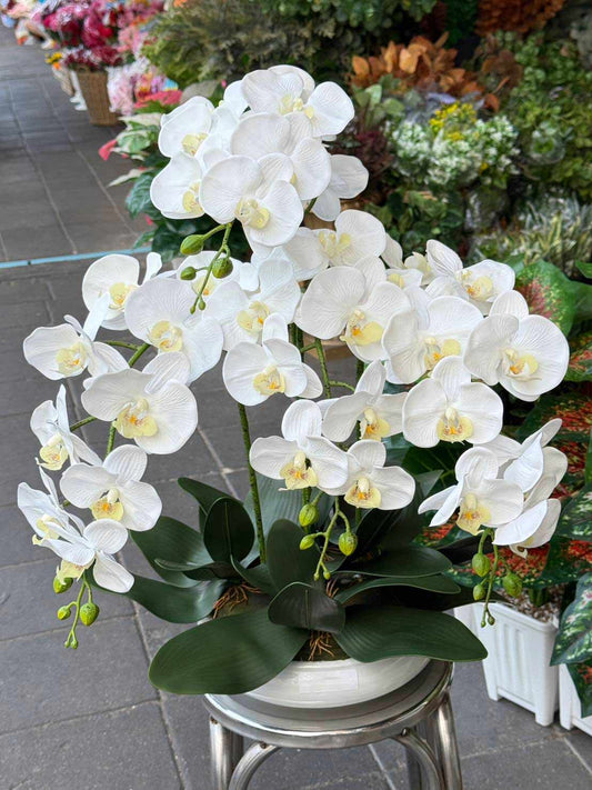 Grace in Bloom – Artificial Phalaenopsis Orchid in Ceramic Pot - BestBloomBuddy