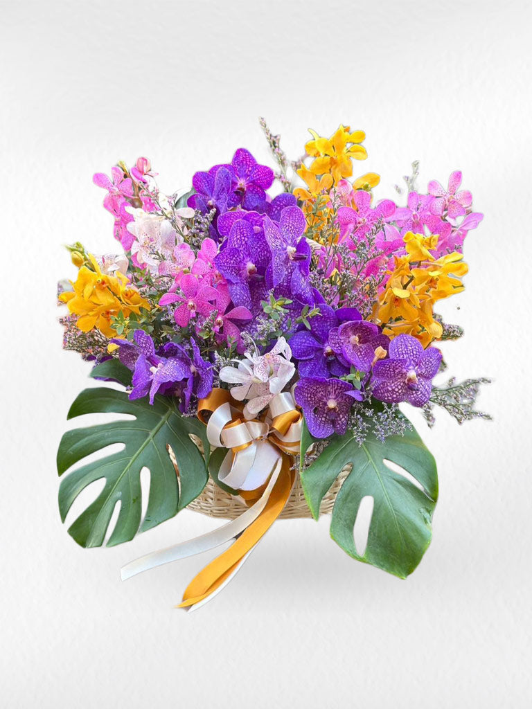 Jungle Jewel – Orchid Basket - BestBloomBuddy