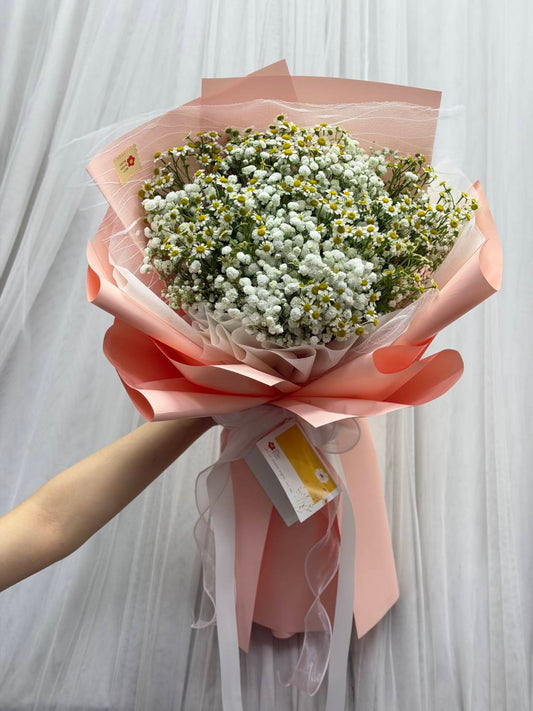 Pretty Darling – Daisy and Baby’s Breath Bouquet