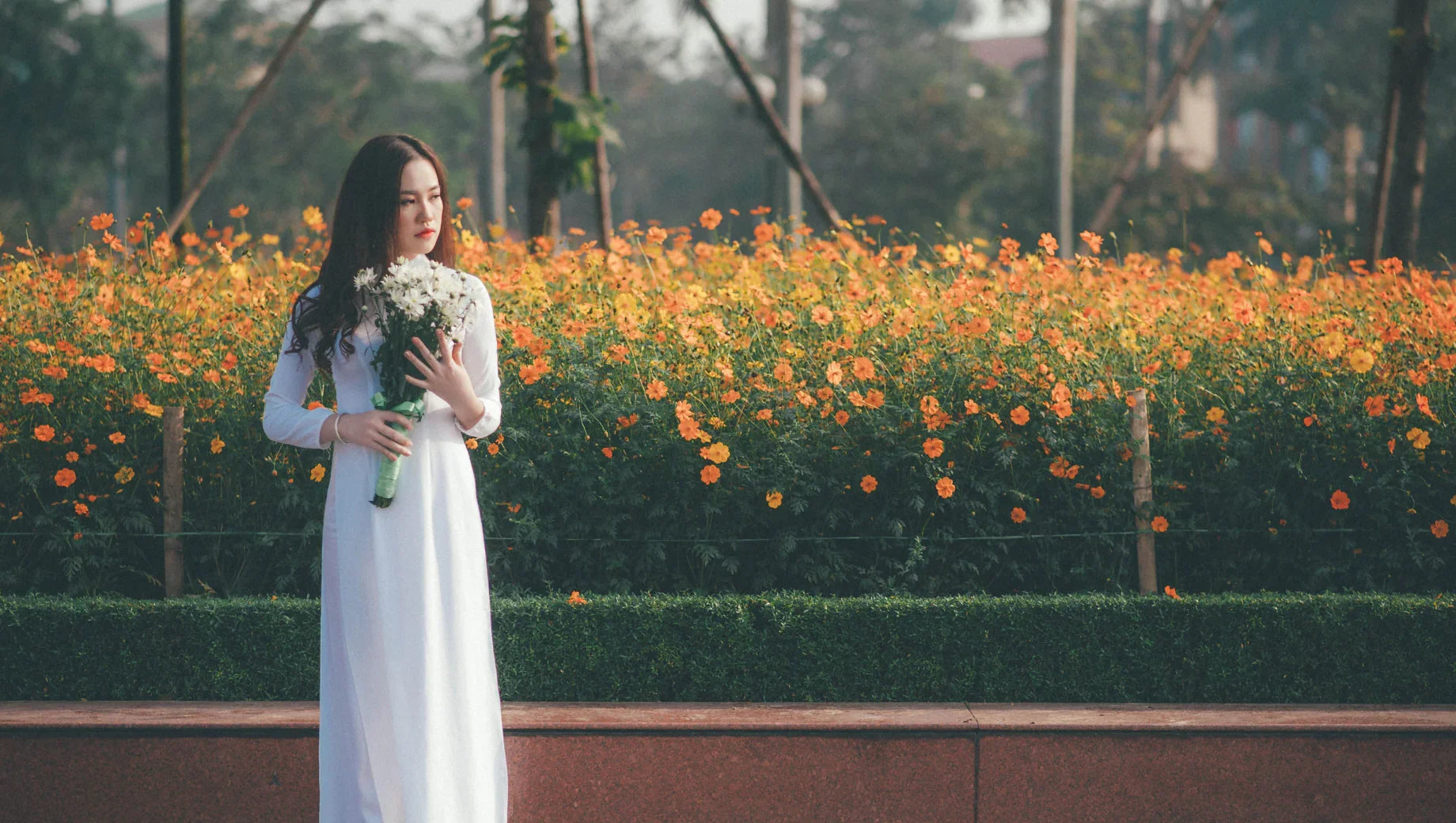 Which Flowers Say ‘I’m Sorry’ Best? A Guide to Thai Apology Bouquets - BestBloomBuddy