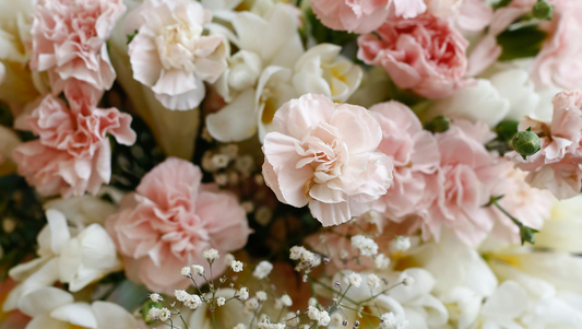 Close-up of a bouquet with pale pink carnations, white flowers, and green buds