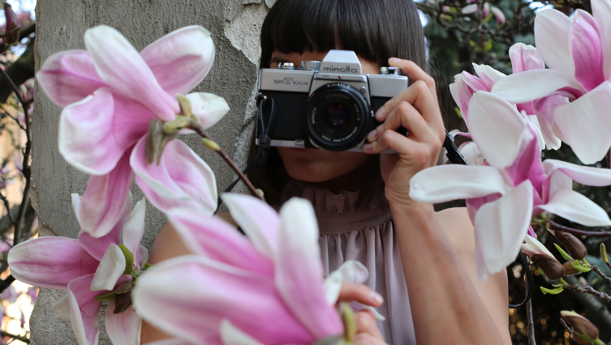 Why People Who Often Photograph Flowers Tend to Be Emotionally Sensitive