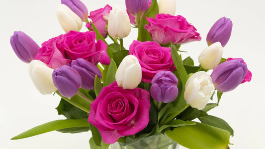 Bouquet of vibrant pink roses, white and purple tulips with green leaves in a clear vase