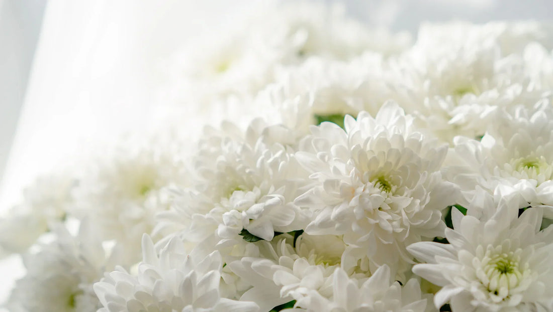 Flowers for Thai Holidays: What to Send on Songkran, Loy Krathong & More - BestBloomBuddy