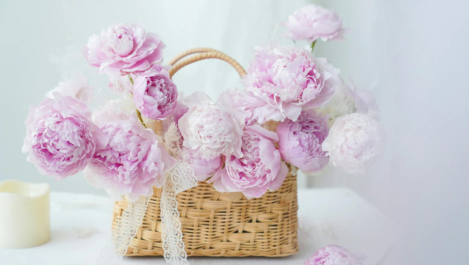 10 Most Romantic Flowers to Express Love - BestBloomBuddy