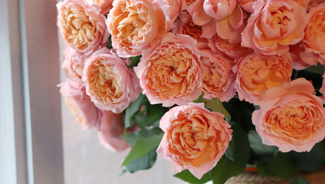 Why Do Flowers as a Gift Make People Smile Instantly?