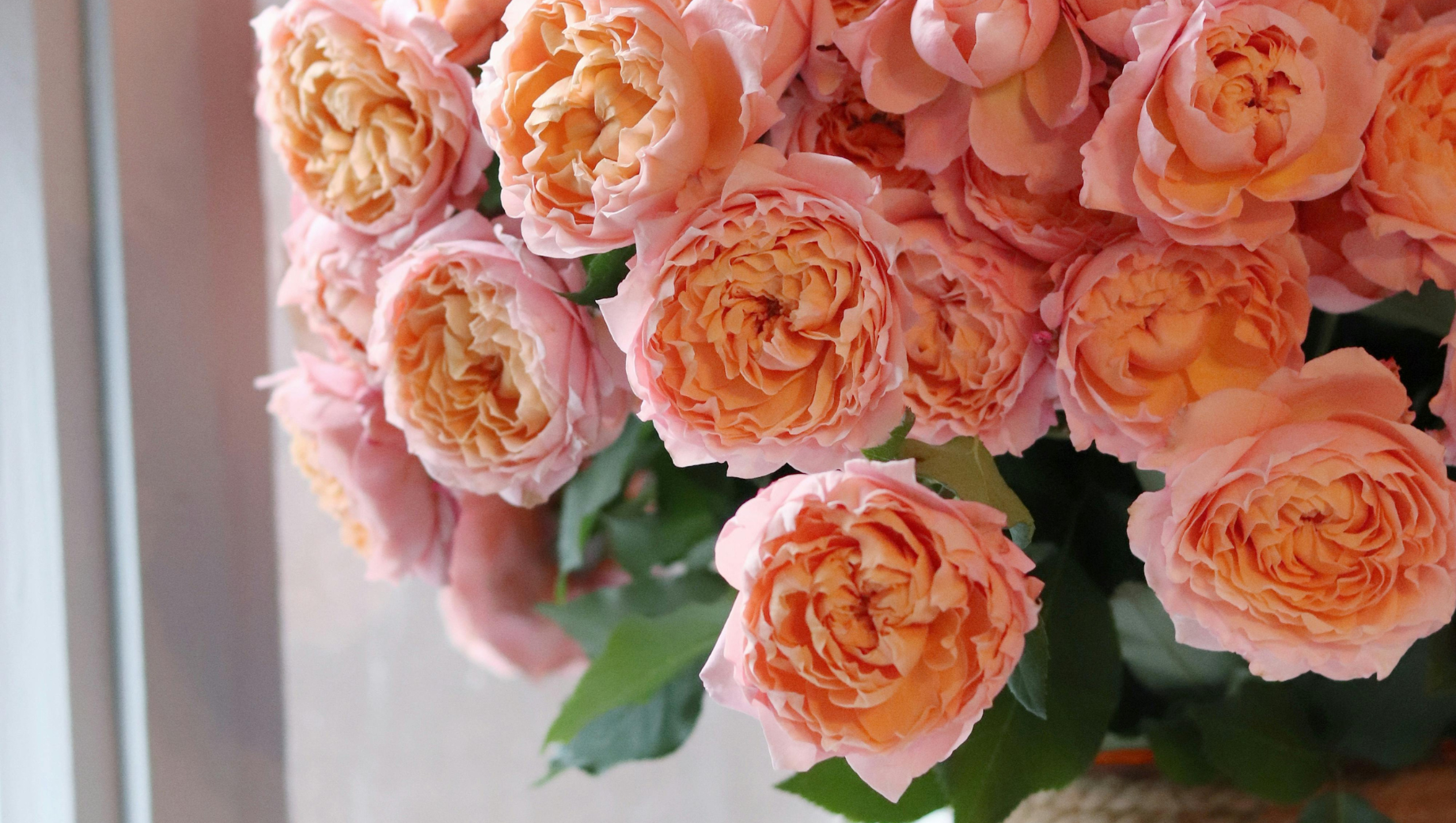 Why Do Flowers as a Gift Make People Smile Instantly?