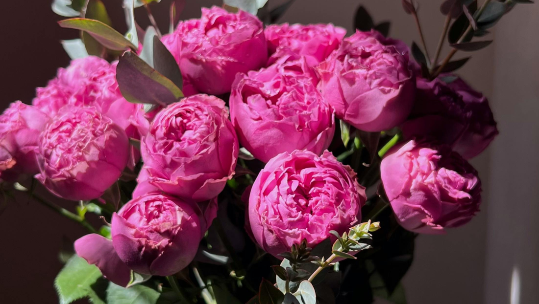 How to Care for Peonies After Receiving a Bouquet to Keep Them Fresh and Beautiful Longer