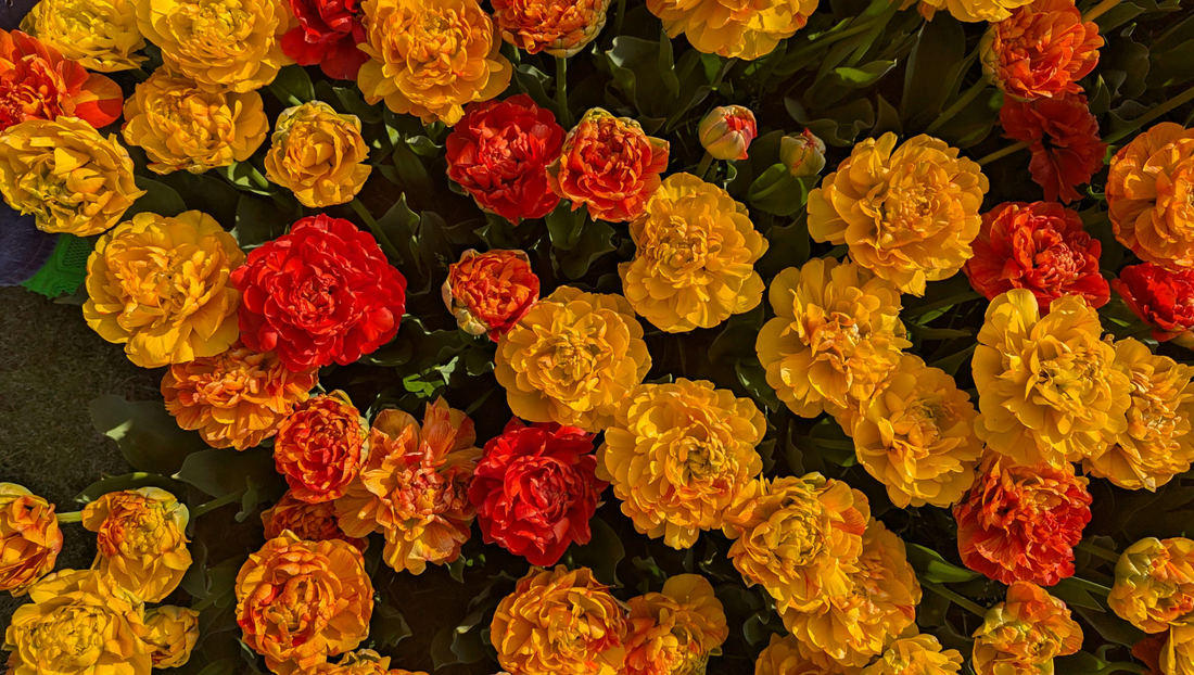 The Psychology of Chinese & Lunar New Year Flowers