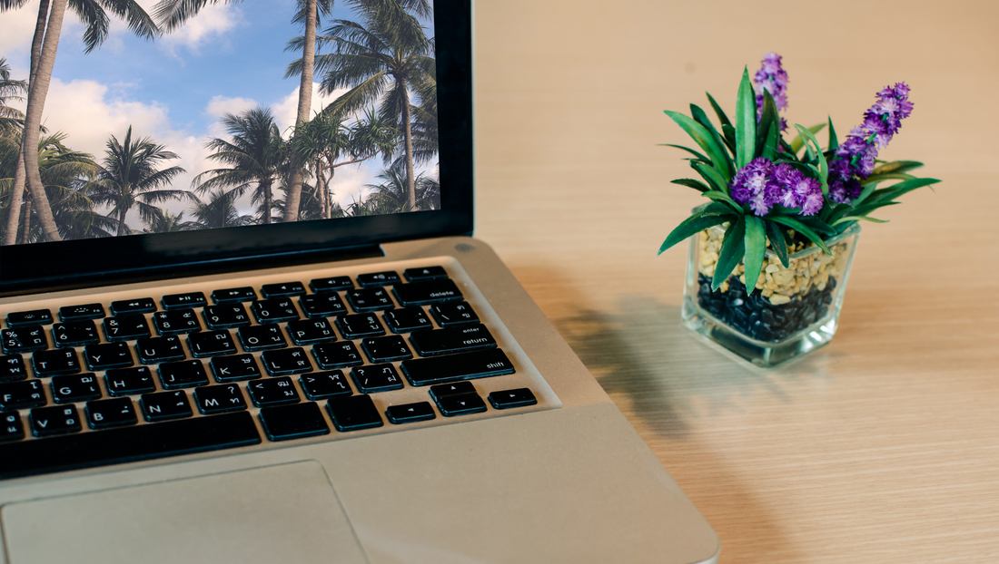 The Benefits of Having Flowers on Your Work Desk