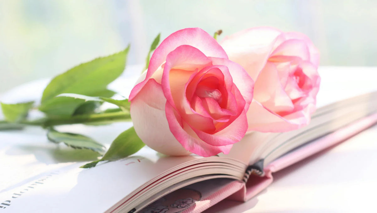 Jumilia Rose – Elegant German Beauty for Every Special Occasion