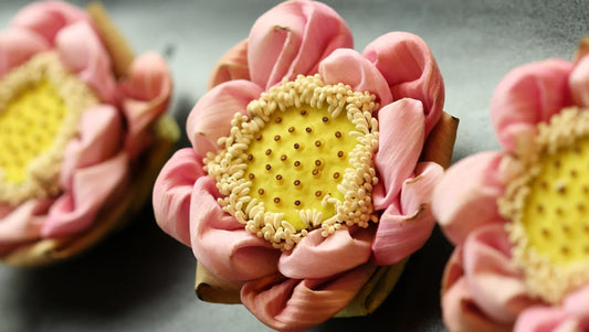 Lotus Flowers in Thailand – Graceful Gifts for the Rainy Season - BestBloomBuddy