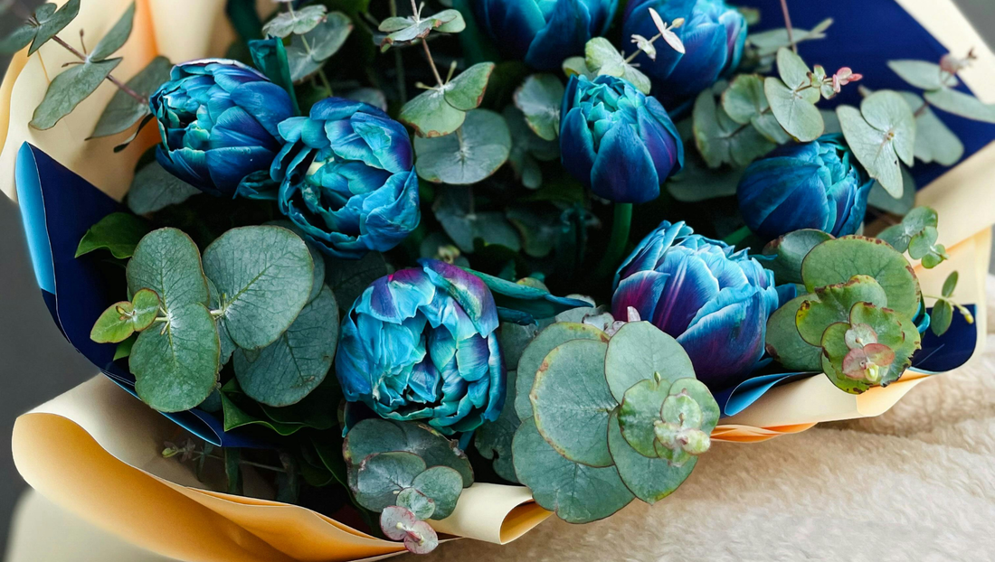 Blue Flowers: Meanings, Popular Varieties, and the Perfect Occasions to Gift Them