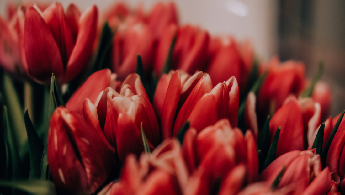 Flower Delivery in Samut Prakan – Same-Day Service with Premium Quality