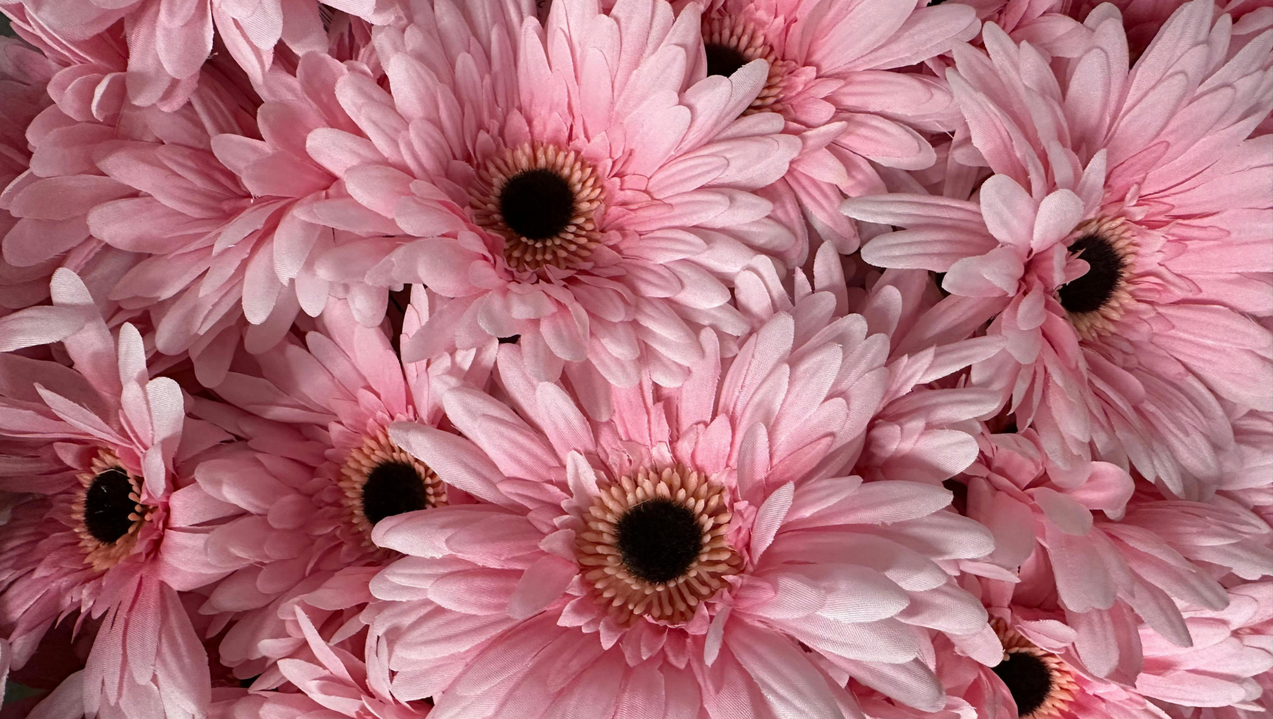 International Mother's Day 2026: Send Flowers to Mom in Thailand with a Special Discount