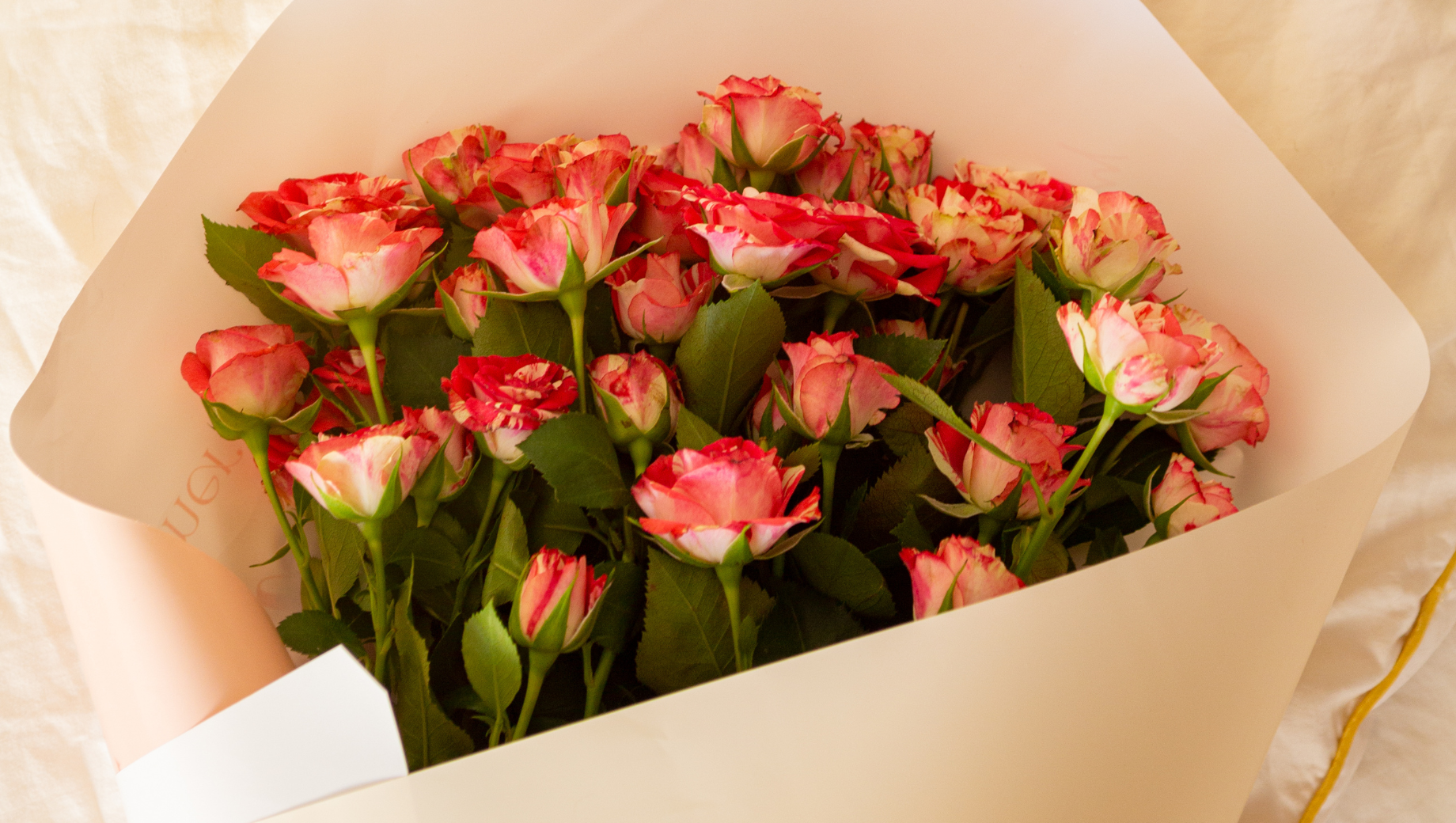 Spray Roses (Cluster Roses): The Small Blooms with Big Charm for Every Special Moment
