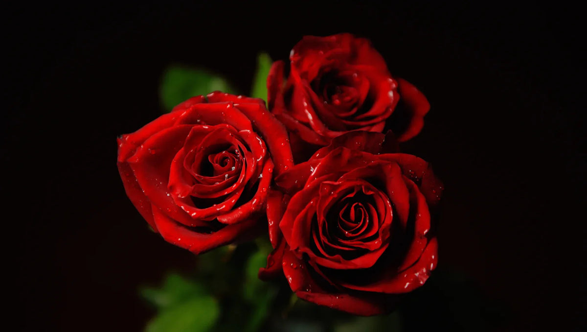 The Psychology Behind Giving Flowers on Valentine’s Day