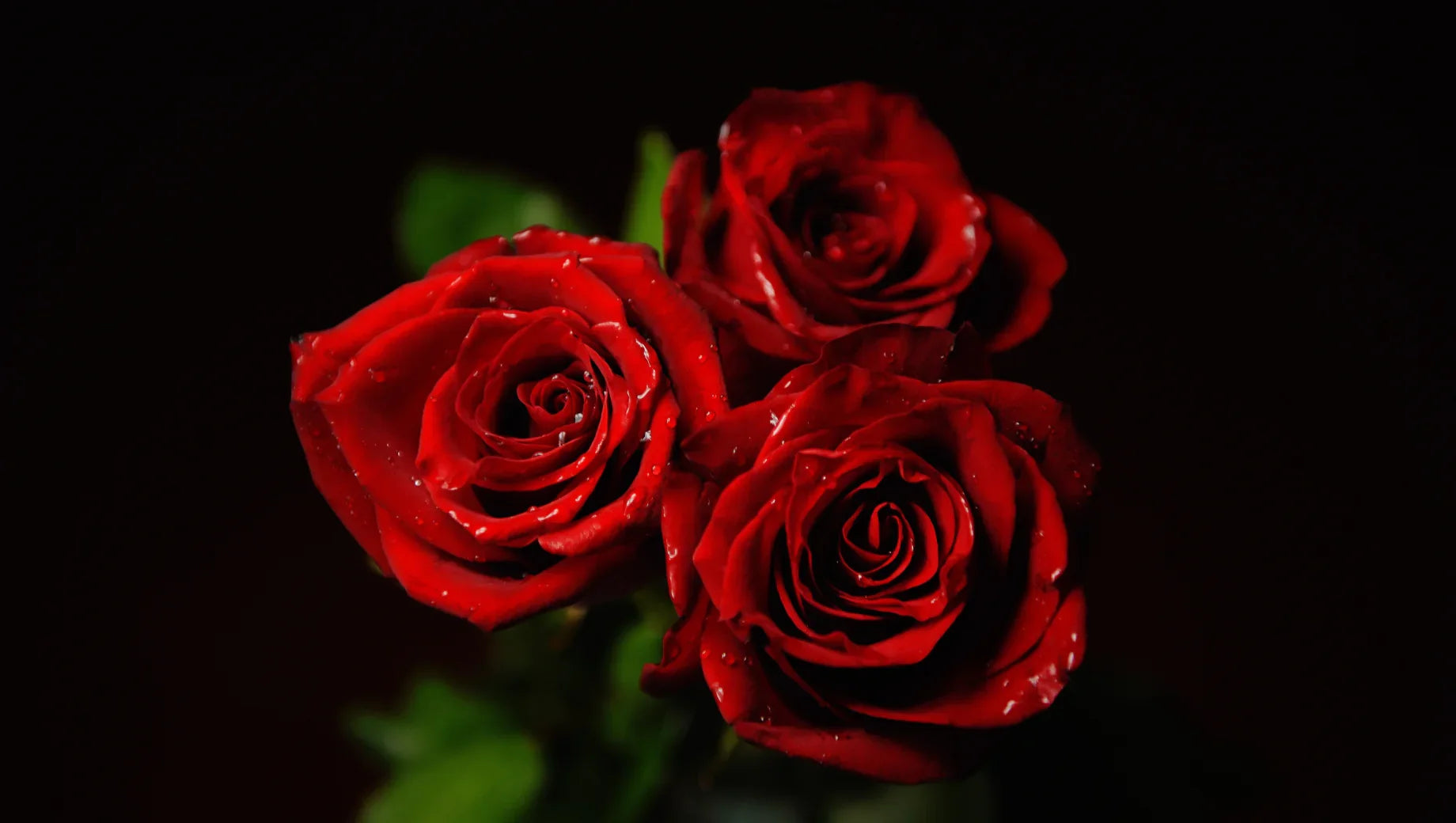 The Psychology Behind Giving Flowers on Valentine’s Day