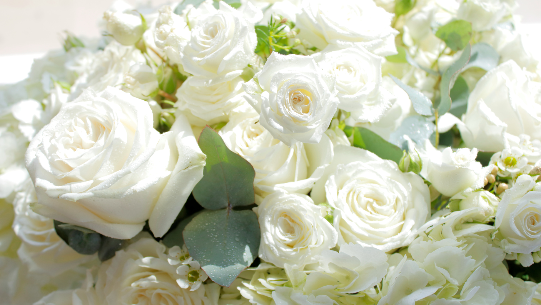 Best Flowers to Send for a Thai Funeral: A Cultural Guide for Expats