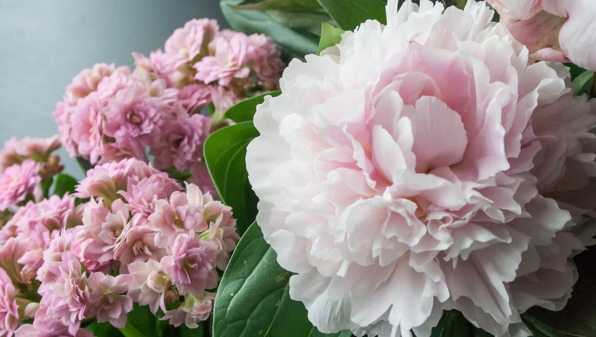 Send Fresh Mother’s Day Flowers in Thailand with Same-Day Delivery — Make Mom’s Day Special, No Matter Where You Are - BestBloomBuddy