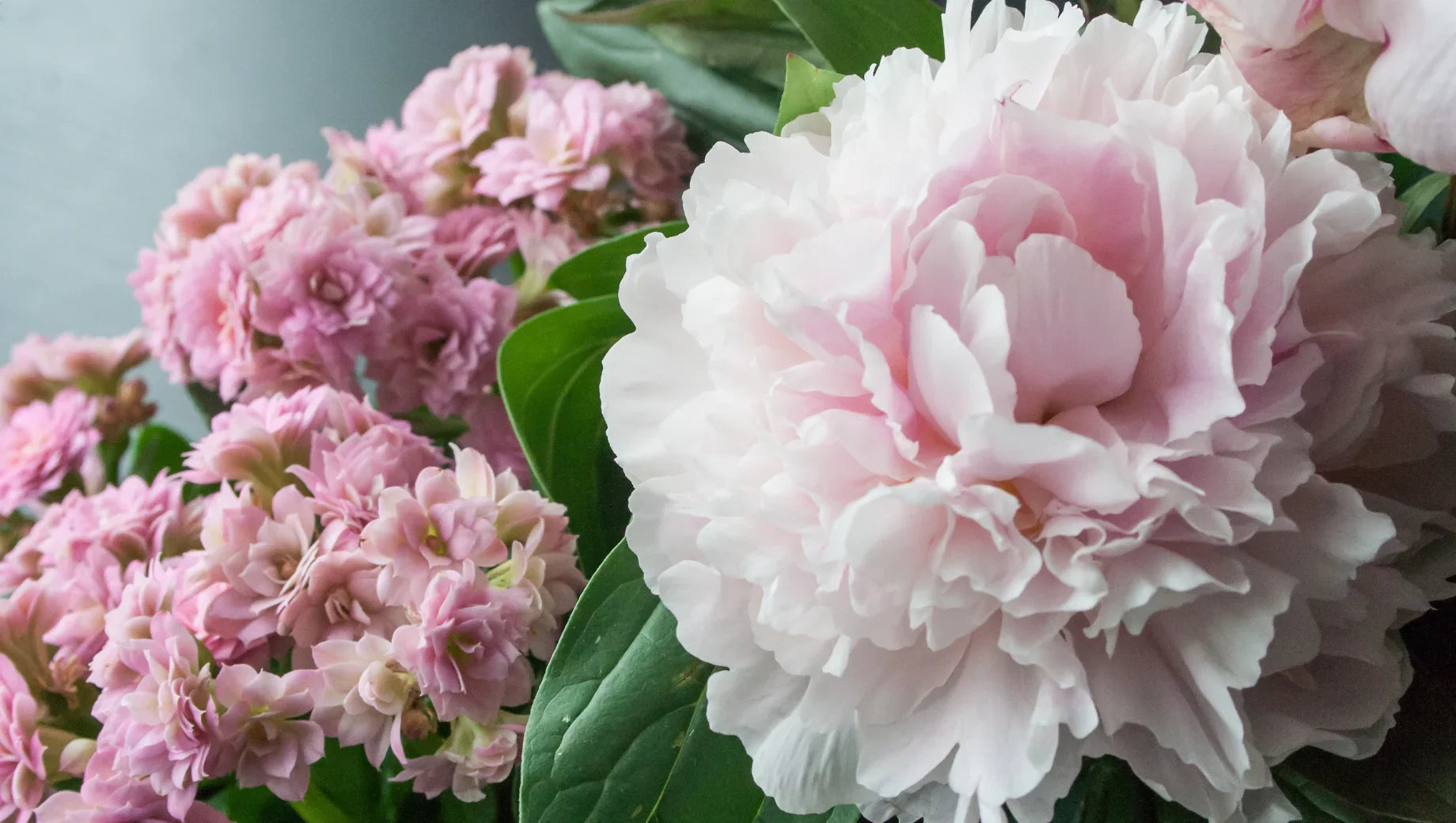 Send Fresh Mother’s Day Flowers in Thailand with Same-Day Delivery — Make Mom’s Day Special, No Matter Where You Are - BestBloomBuddy