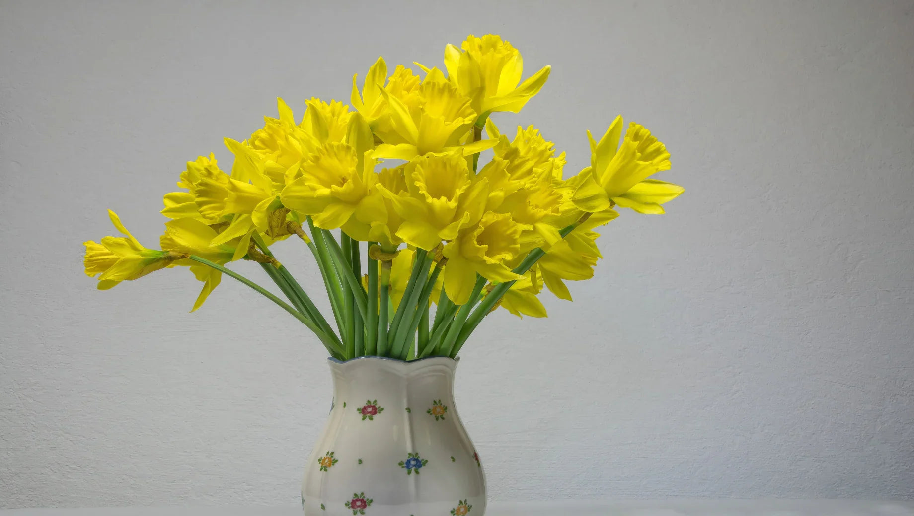 The Meaning of Daffodils (Narcissus): Symbolism, History, and Cultural Significance - BestBloomBuddy