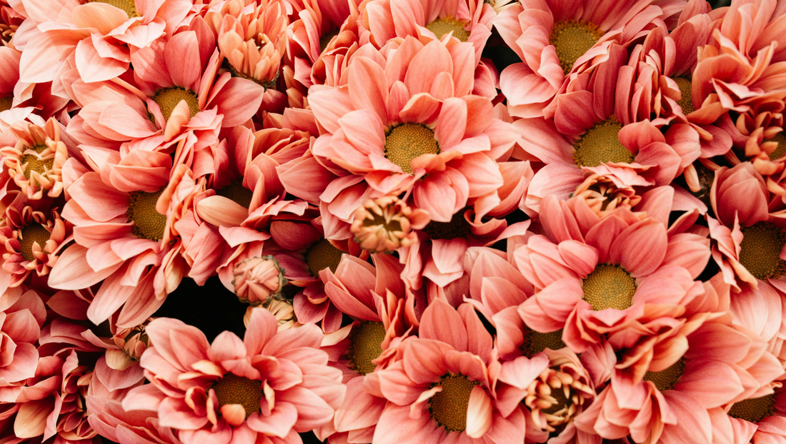 Sending Flowers During Songkran? Here’s What to Know Before You Order