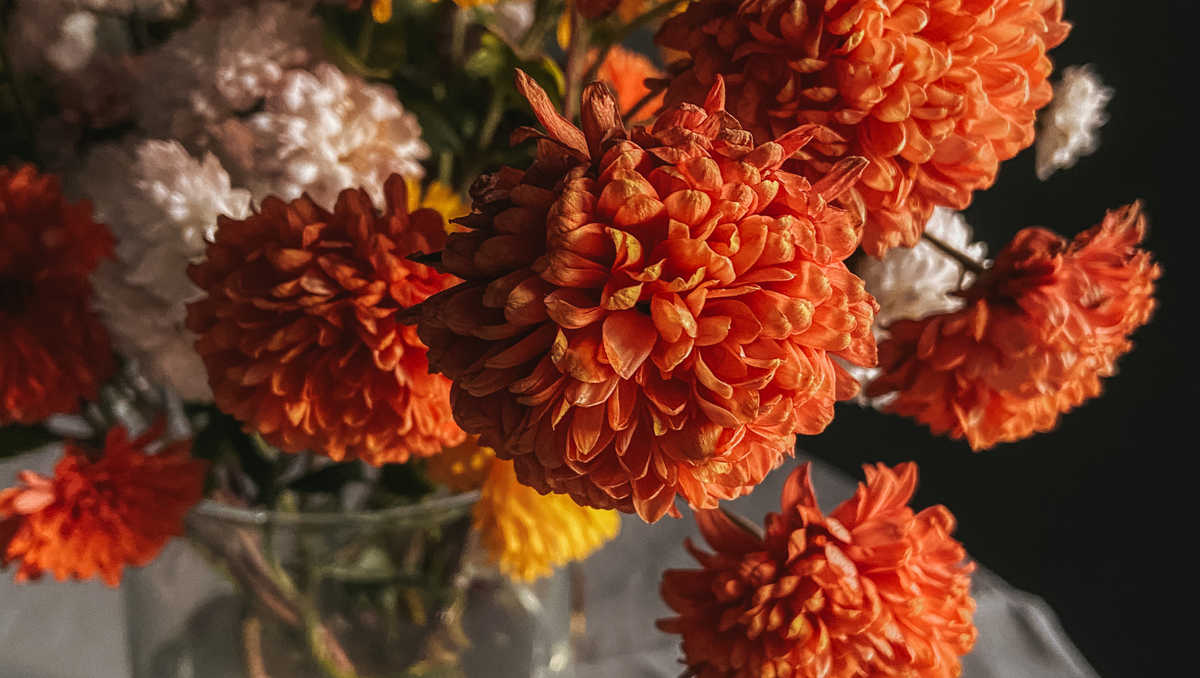 Thanksgiving 2025 Flower Gift Ideas — Share Warmth with Beautiful Blooms