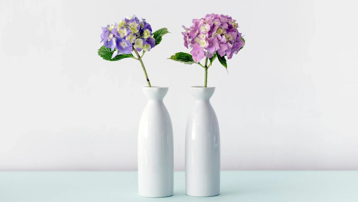 Two white ceramic vases each holding a single purple hydrangea flower with green leaves on light blue surface