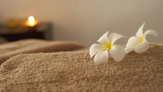 Frangipani Flowers in Thailand – Tropical Elegance for Rainy Days - BestBloomBuddy