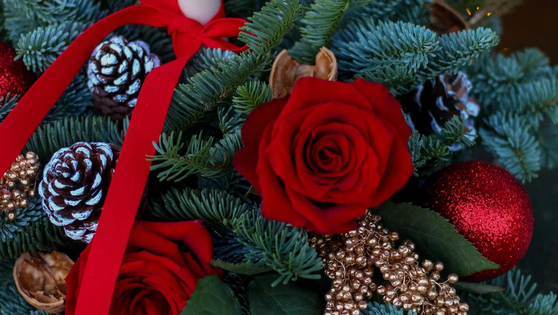 Popular Christmas Flowers and Their Meanings You Should Know