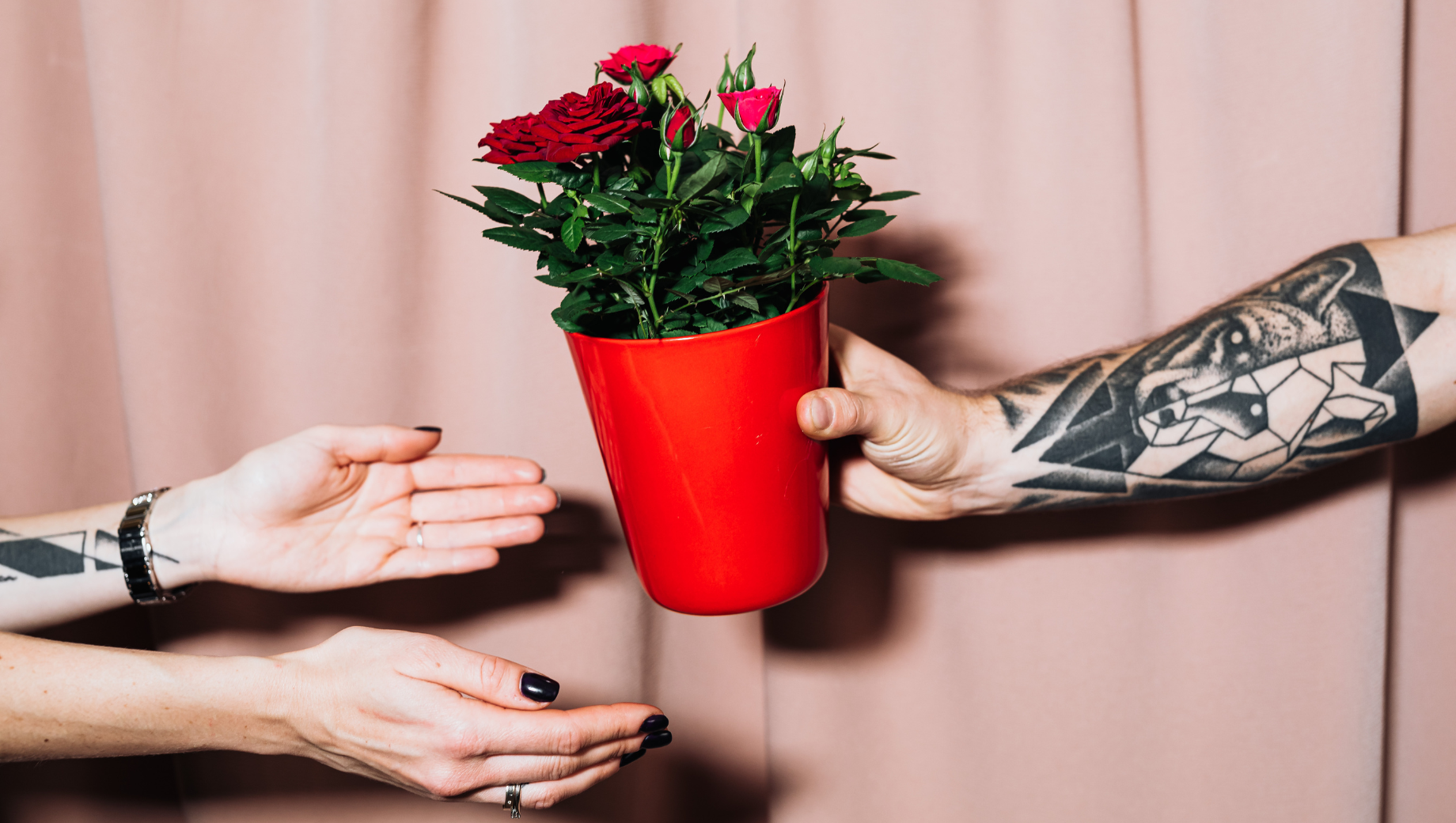 A Thoughtful Alternative to Bouquets: Why Potted Plants Make Meaningful Gifts