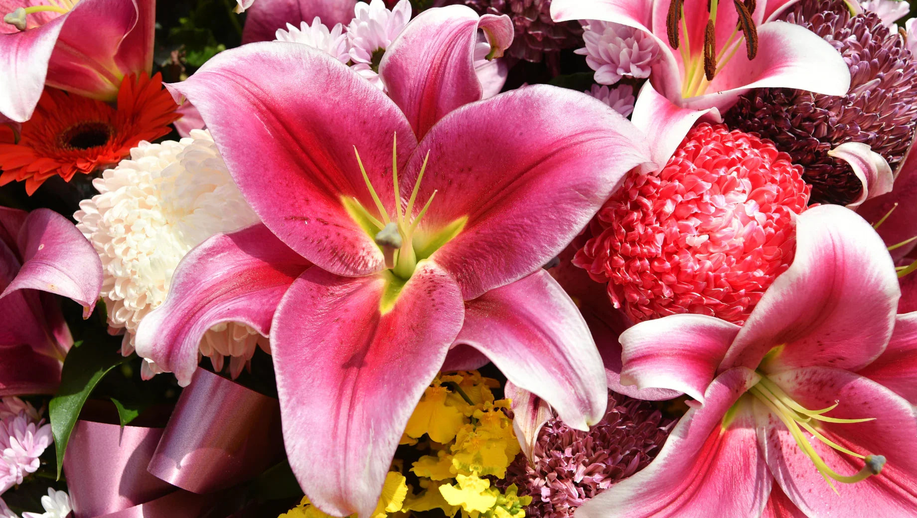 New Year Flowers Guide 2026