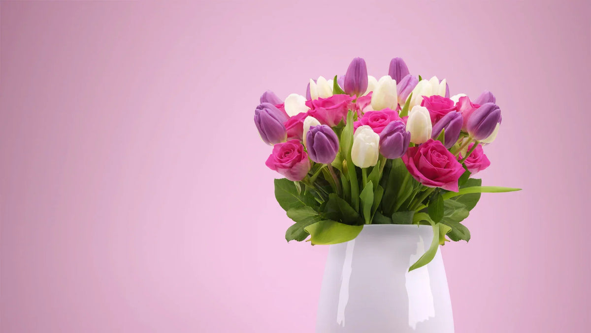 Vase with pink roses and purple and white tulips against a pink background