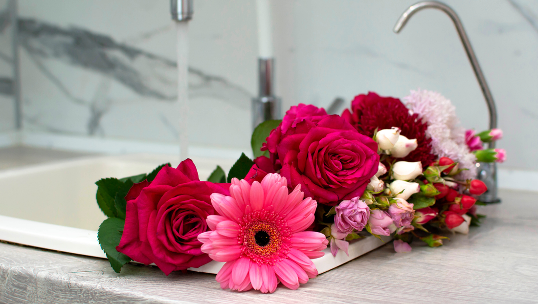 Vibrant bouquet of red roses and pink gerbera flowers drying on kitchen sink countertop
