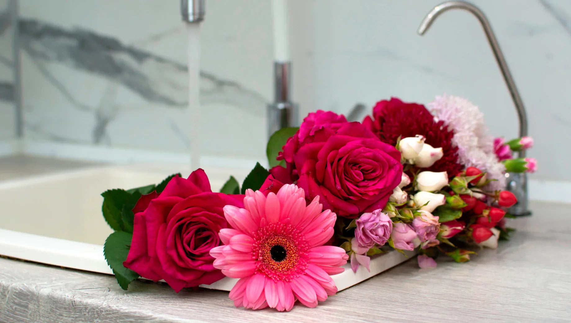 Vibrant bouquet of red roses and pink gerbera flowers drying on kitchen sink countertop