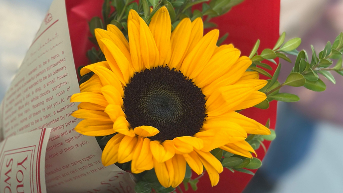 How to Keep Christmas Flowers Fresh Longer